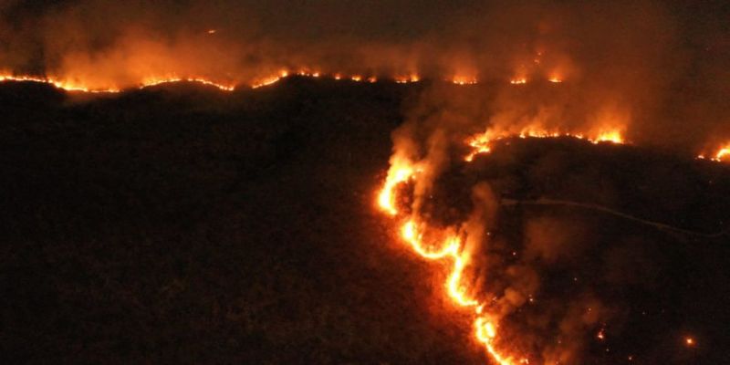 Amazon wildfires: UK donates £10 million to help protect and restore rain forest 