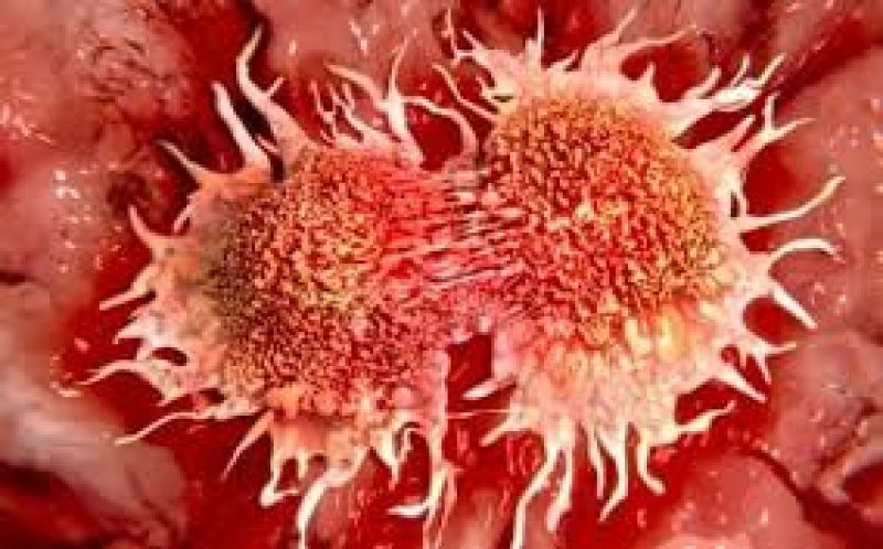 CANCER increses day by day in Malwa region of punjab 