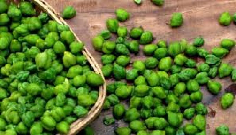  The fortress of the peasantry shine forth