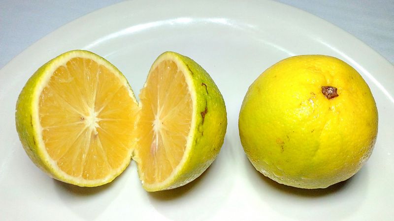 Sweet Lemon