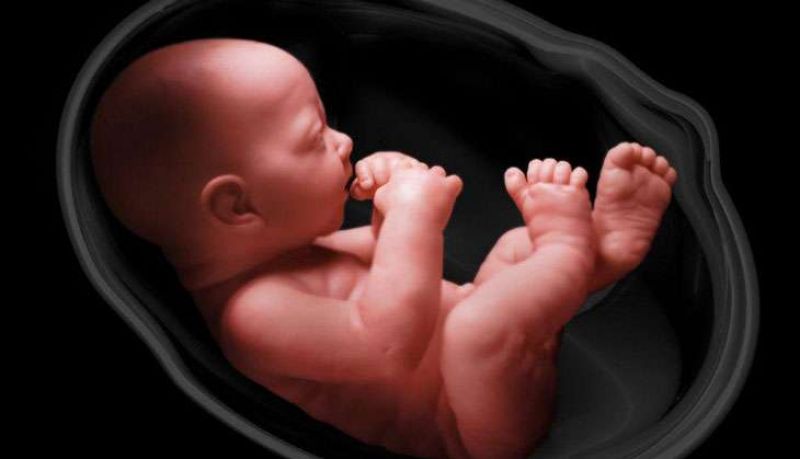 Now Embryo's 3D photo is possible to taken