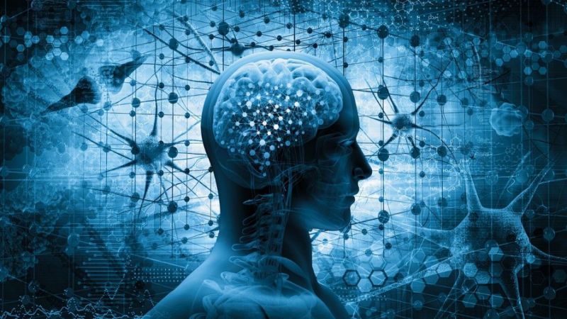 Indian brain size is smaller : Research