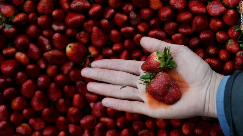 Strawberry Strawberry