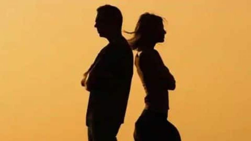 If the wife is able to earn, then she should get alimony even after divorce: Delhi High Court If the wife is able to earn, then she should get alimony even after divorce: Delhi High Court