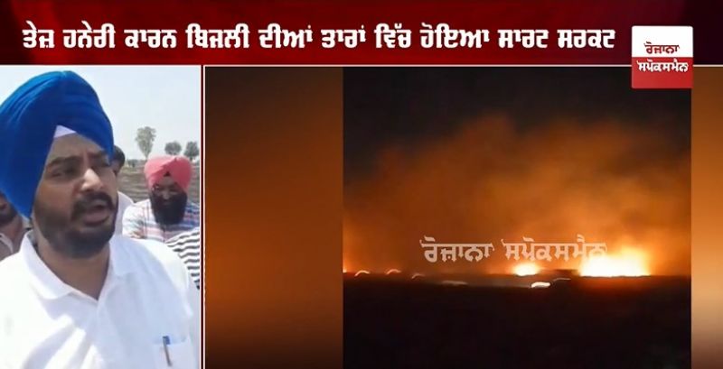 32 acres of wheat crop burnt to ashes