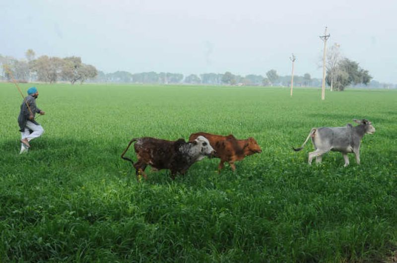 File Photo File Photo