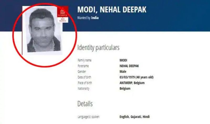 How Nirav Modi’s brother Nehal Modi allegedly scammed LLD Diamonds