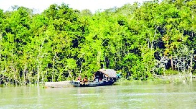 File Photo File Photo