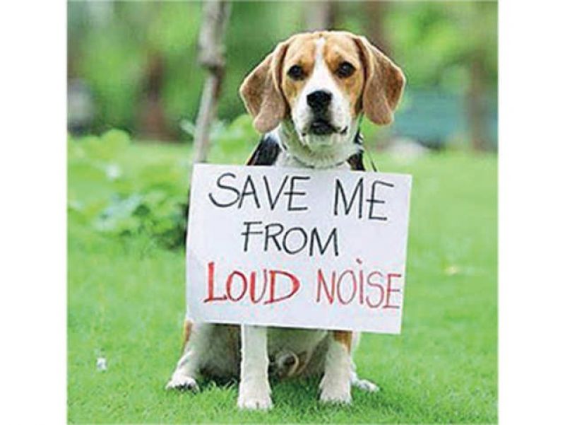 file photo file photo