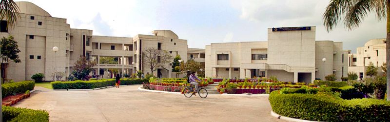 iit kanpur