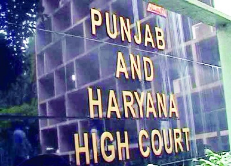 Punjab Haryana High Court 