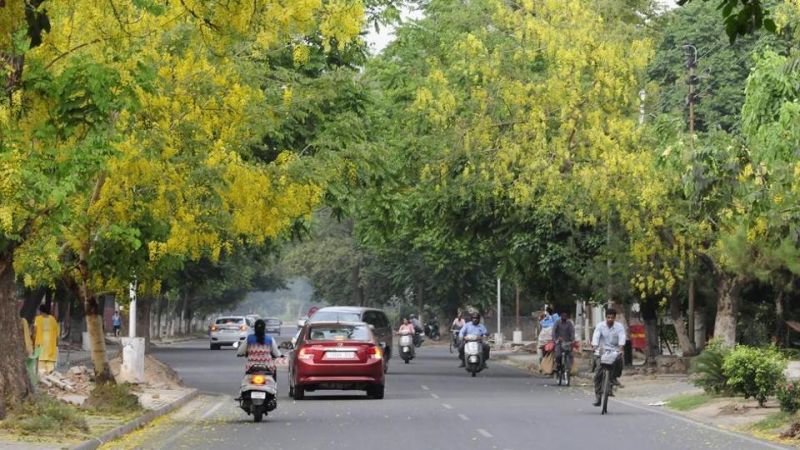 File PhotoFile Photo