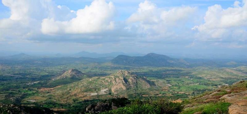 horsley hills horsley hills