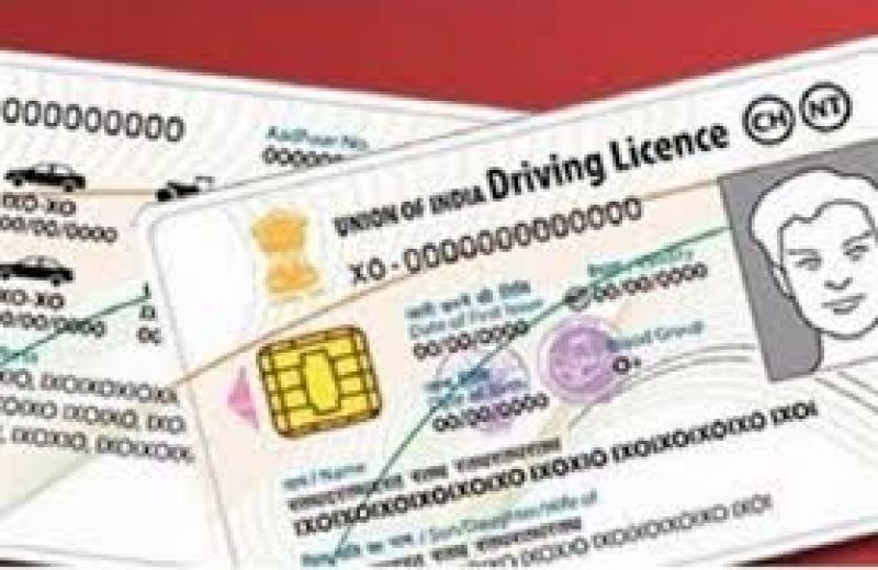driving licences 