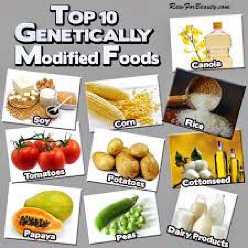 Genetically Modified Food Products