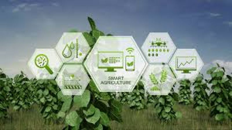 Smart agriculture
