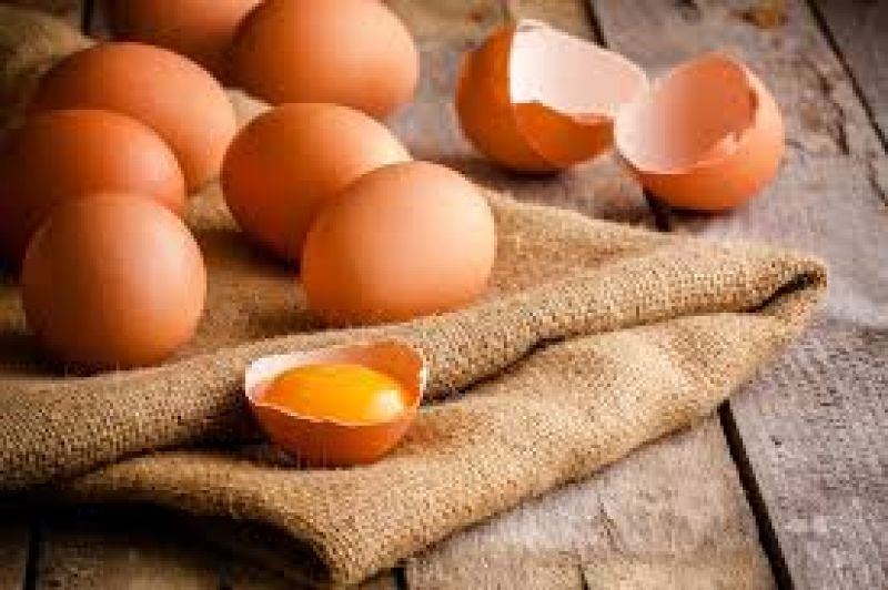 Eggs are also beneficial to health