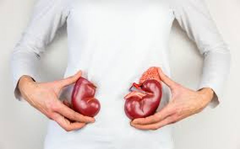 villagers are facing kidney related problems in chhattisgarh villagers are facing kidney related problems in chhattisgarh