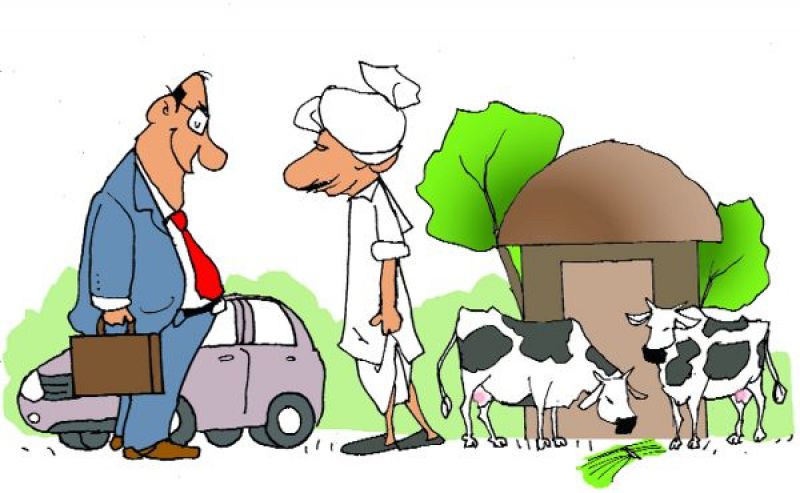 Cattle farmer credit cards