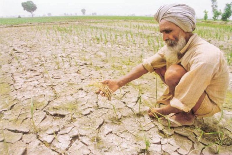 Dry field Dry field