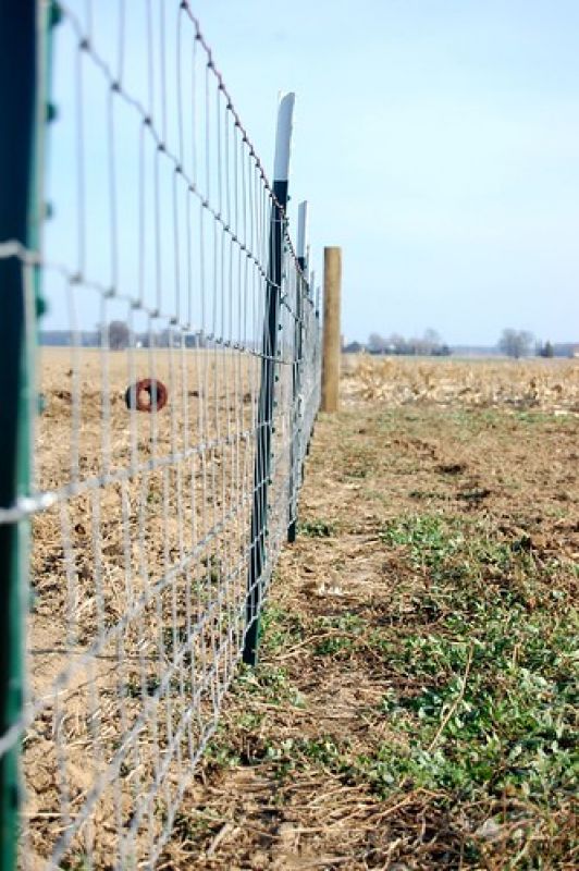 Kandi farmers to get 50% financial assistance for fencing fields