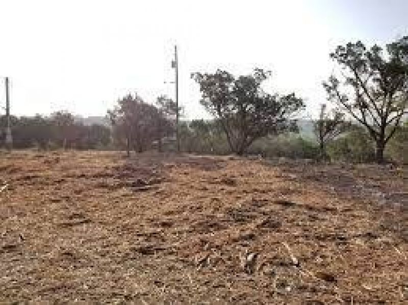 Panchayat land 