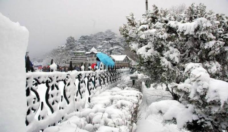  Shimla Snowfall