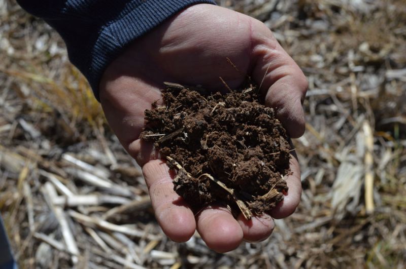 Crops Manure Fertilizer