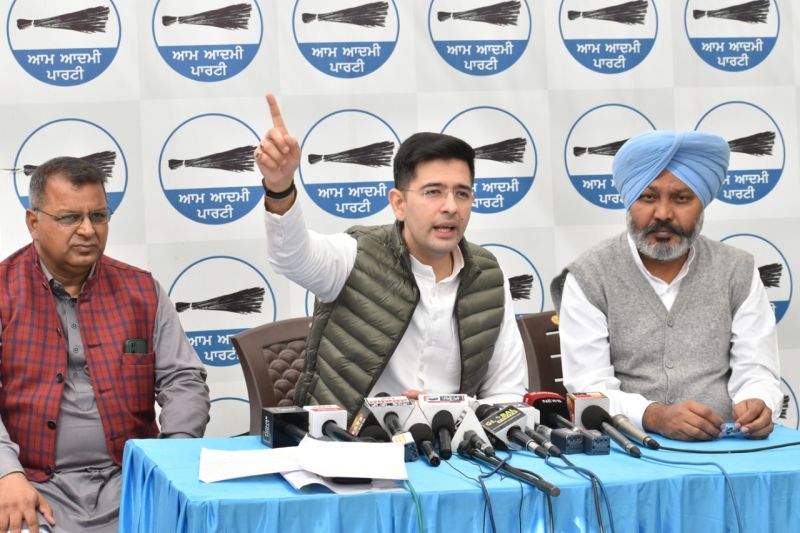 Harpal Cheema and Raghav Chadha