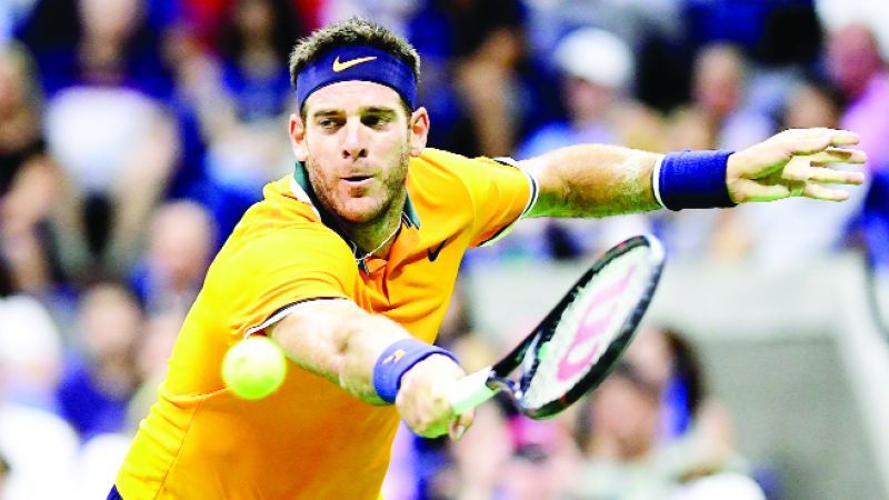 Juan Martín del Potro