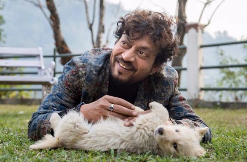 Imran Khan Imran Khan