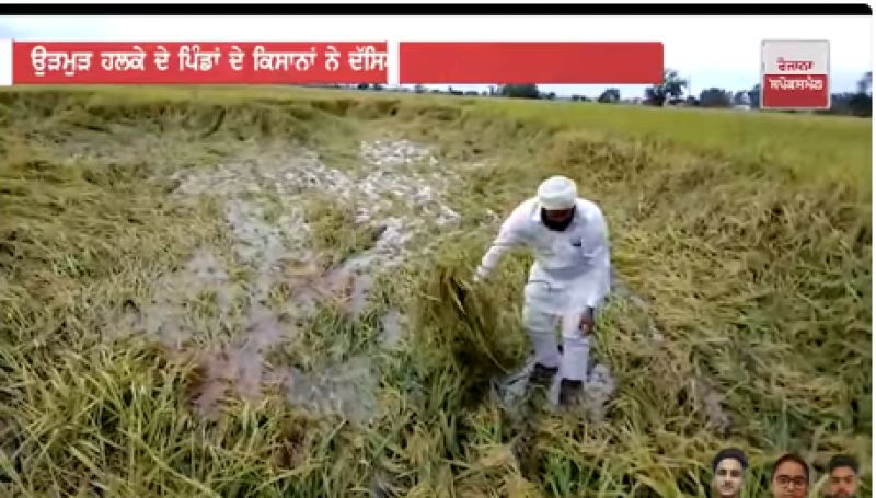 rain destroy crop rain destroy crop