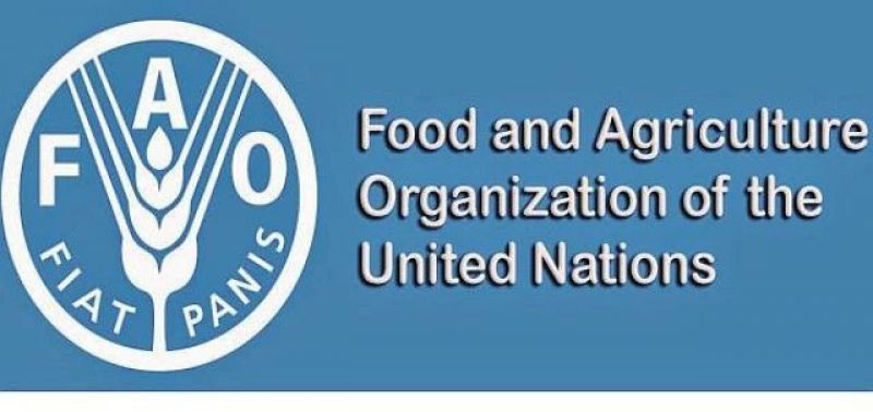 Food and Agriculture Organisation