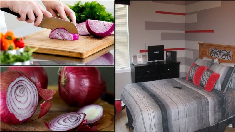 Onion in room
