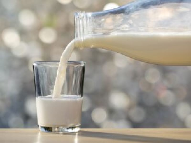 Milk Milk