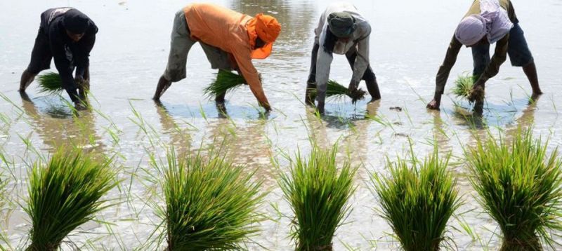 Water crisis Punjab Water crisis Punjab