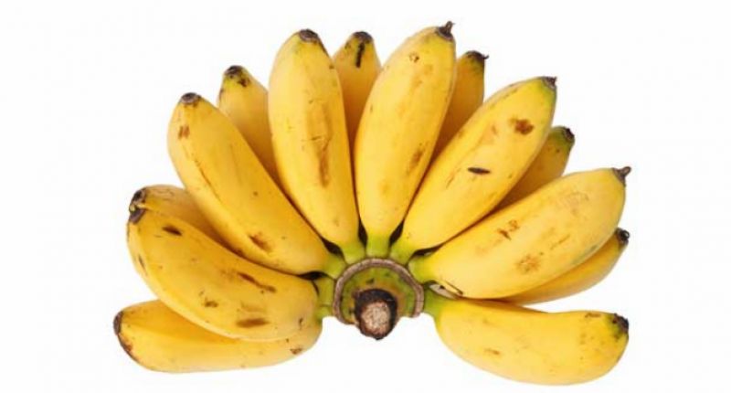 Benefits of small bananas