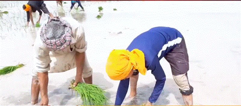 International karate players Hardeep Kaur