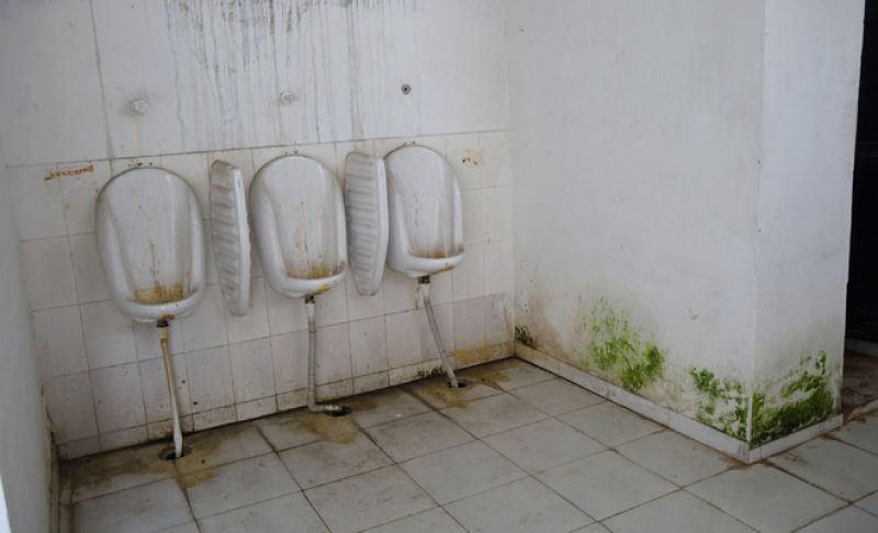 QR code-based feedback system in all public toilets in Chandigarh from Monday