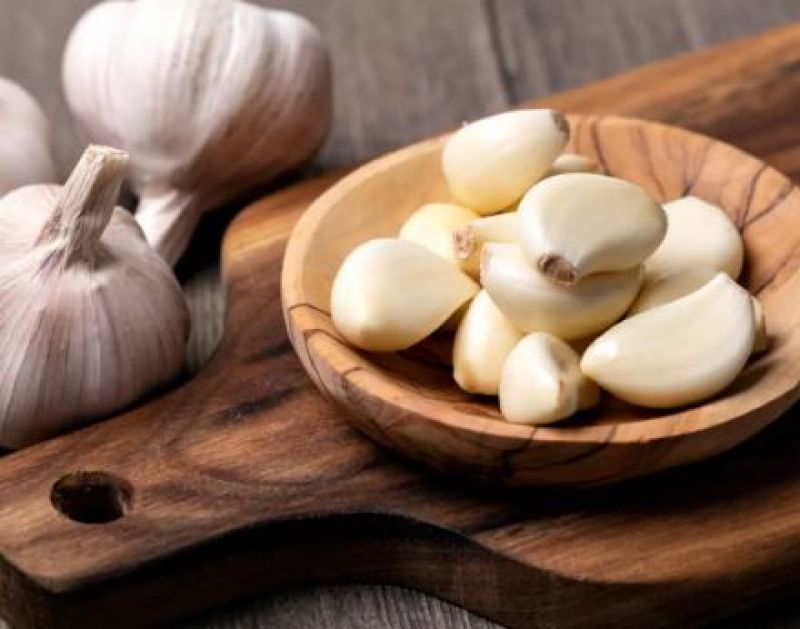 Garlic