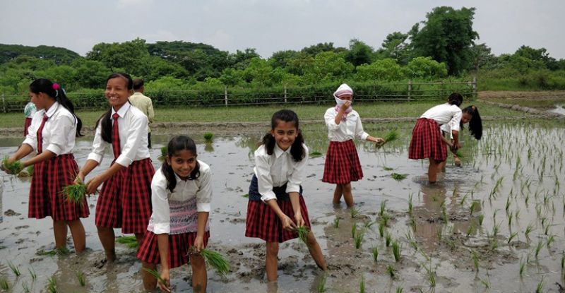 students participating in sowing crops