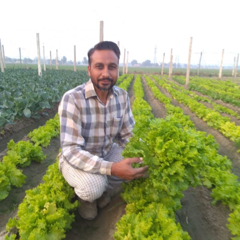 Amarjit Singh Dhillon 