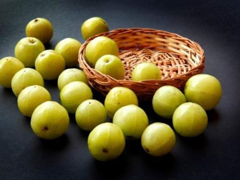 amla amla