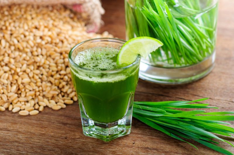 wheatgrass