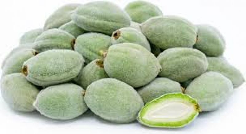 Green almonds helps in weight loss