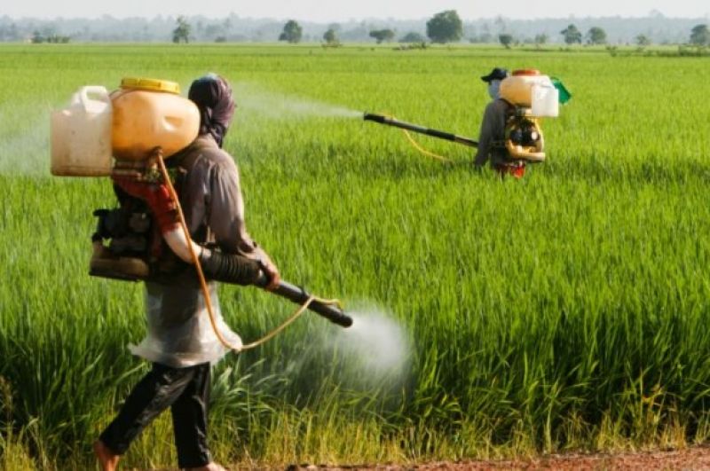 Pesticide poisoning