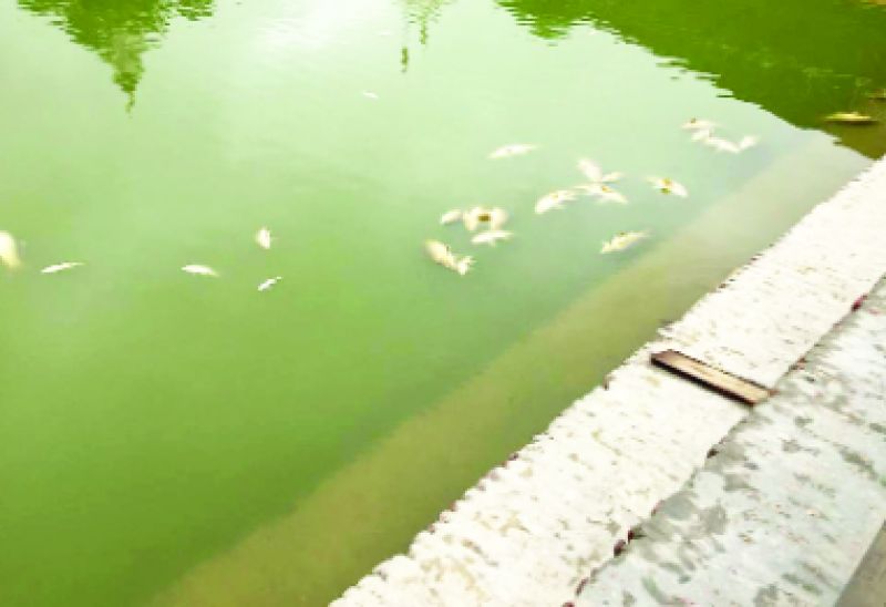 Ancient Shankar Maharaj