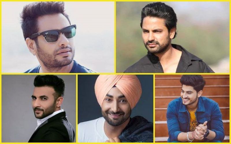  Punjabi cinema actors