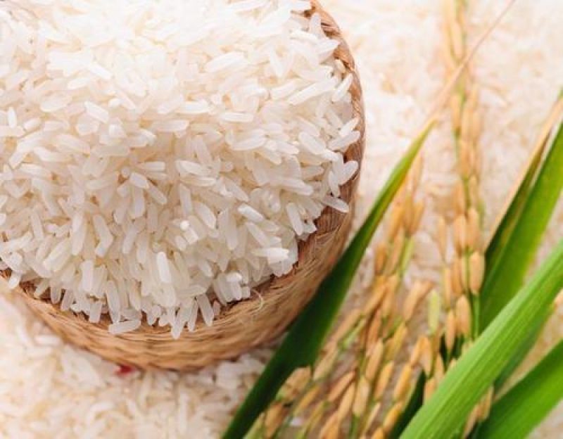 Export of non- basmati rice Export of non- basmati rice