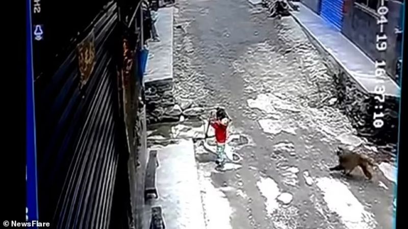 file photo file photo